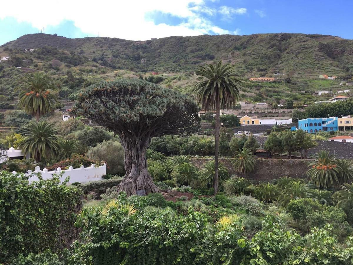 #Ocean View Studio #Wifi Icod De Los Vinos Exterior foto